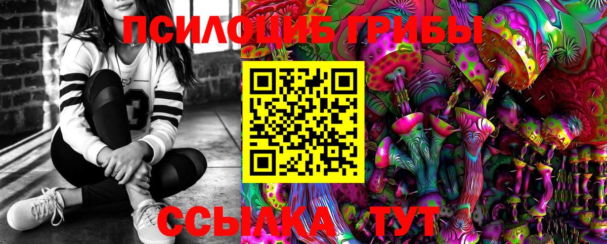 Магадан  Псилоцибиновые грибы ЛСД  Галлюциногенные грибы Magic Shrooms  дарнет шоп  Вход с VPN 
