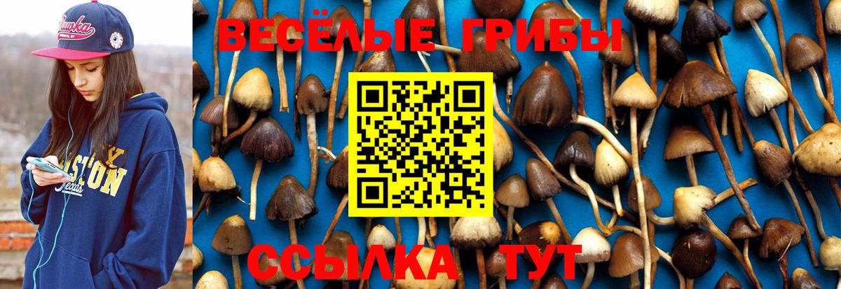 Галлюциногенные грибы ЛСД Магадан
